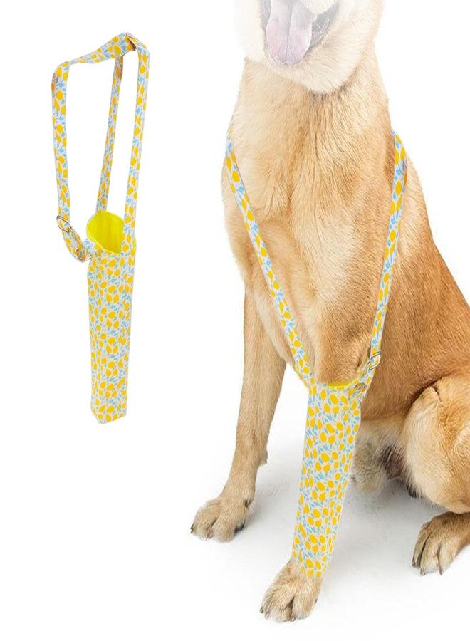 vomvomp Dog Surgery Recovery Sleeve Single Front Leg Sleeve Dog Callus Protector No Lick Sleeve for Hot Spots Wounds Bandages for Dogs Cone Alternative Prevent Licking Joint Care Elbow Brace Protector - Image 1